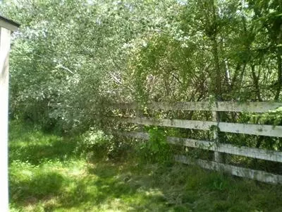 200 E Weimar Cross Rd, Colfax, CA 95713 photo 11