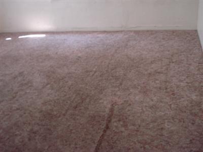 1328 E Orangeburg Ave, Modesto, CA 95355 photo 5