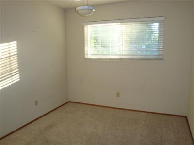 3900 Tea Leaf Dr, Modesto, CA 95356 photo 6