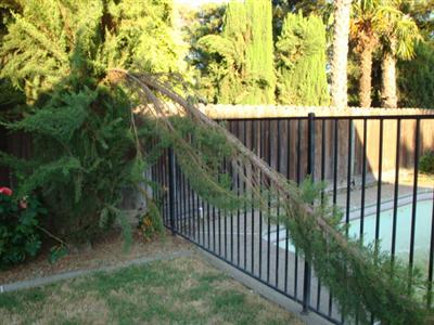 3900 Tea Leaf Dr, Modesto, CA 95356 photo 10