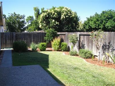 863 Chestnut Ave, Tracy, CA 95376 photo 4