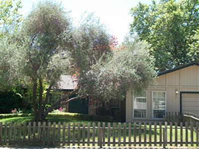 8412 Gaylor Way, Carmichael, CA 95608 photo 1
