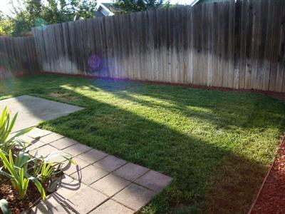 2013 Humboldt Ave, Davis, CA 95616 photo 21