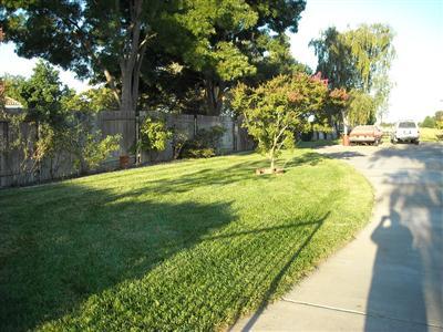 10260 Davis Rd, Wilton, CA 95693 photo 6