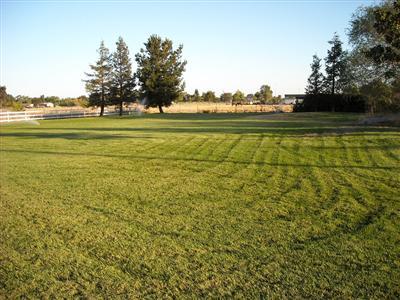 10260 Davis Rd, Wilton, CA 95693 photo 4