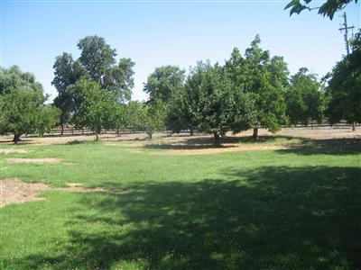 11286 Green Rd, Wilton, CA 95693 photo 19