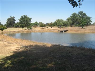 11286 Green Rd, Wilton, CA 95693 photo 4