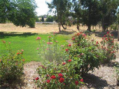 11286 Green Rd, Wilton, CA 95693 photo 9