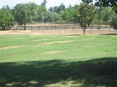 11286 Green Rd, Wilton, CA 95693 photo 11