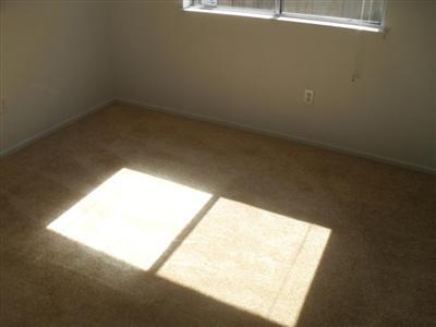1333 Bailey Dr, Ripon, CA 95366 photo 9