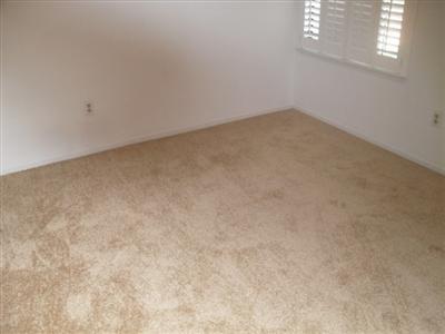 1333 Bailey Dr, Ripon, CA 95366 photo 7