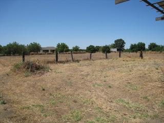 5228 E Hogan Ln, Lodi, CA 95240 photo 3
