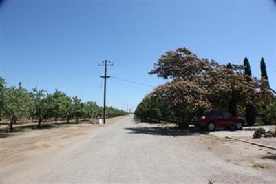 7537 River Rd, Patterson, CA 95363 photo 2