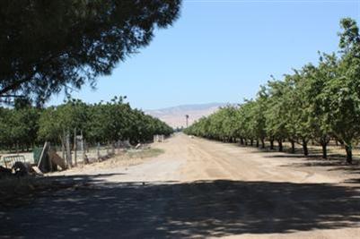 7537 River Rd, Patterson, CA 95363 photo 3