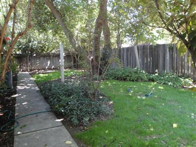 2834 Grinnel Dr, Davis, CA 95618 photo 13