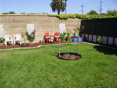 484 Sunset Dr, Galt, CA 95632 photo 1