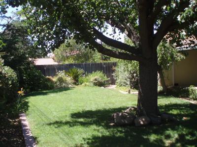 5009 Crestview Dr, Carmichael, CA 95608 photo 11