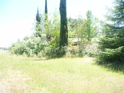 2278 Cold Springs Rd, Placerville, CA 95667 photo 10