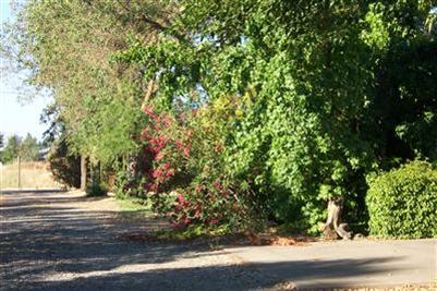 11314 Randolph Rd, Wilton, CA 95693 photo 10