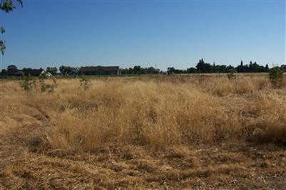 11314 Randolph Rd, Wilton, CA 95693 photo 6
