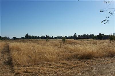 11314 Randolph Rd, Wilton, CA 95693 photo 4