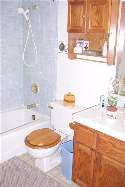 11314 Randolph Rd, Wilton, CA 95693 photo 15