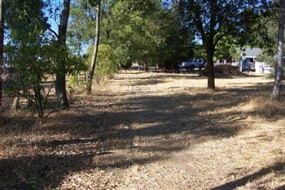 11314 Randolph Rd, Wilton, CA 95693 photo 7