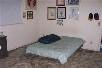 11314 Randolph Rd, Wilton, CA 95693 photo 16