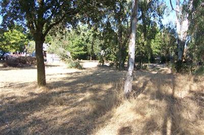 11314 Randolph Rd, Wilton, CA 95693 photo 8
