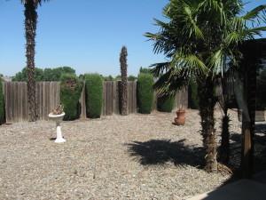 65 S Hickory Ave, Tracy, CA 95376 photo 7
