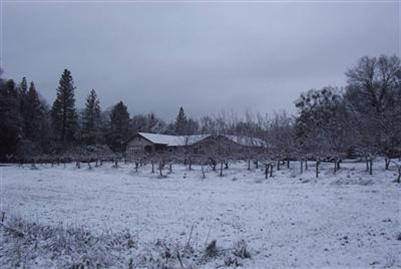 1541 Pleasant Valley Rd, Placerville, CA 95667 photo 12