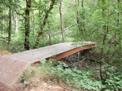 2841 Sommer Star Rd, Placerville, CA 95667 photo 17