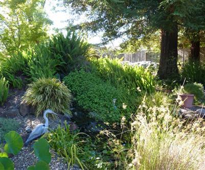 3729 Holloway Ln, Carmichael, CA 95608 photo 9