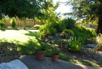 3729 Holloway Ln, Carmichael, CA 95608 photo 8