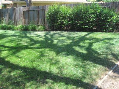 1740 Park Place Dr, Carmichael, CA 95608 photo 16