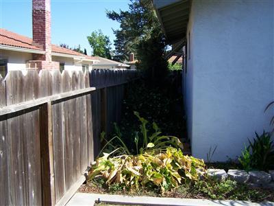 1032 Stuart St, Ripon, CA 95366 photo 15