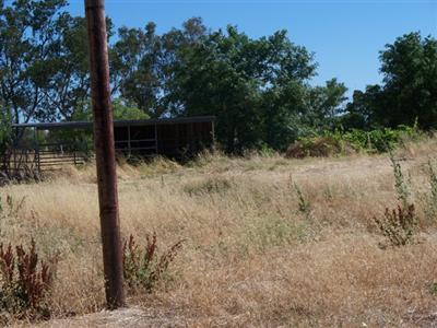7706 Elwyn Ave, Elverta, CA 95626 photo 7