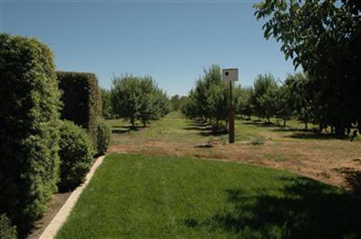 26400 E River Rd, Escalon, CA 95320 photo 16