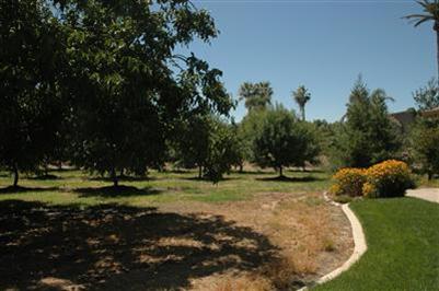 26400 E River Rd, Escalon, CA 95320 photo 15