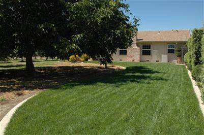 26400 E River Rd, Escalon, CA 95320 photo 14