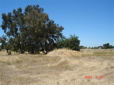433 Antelope St, Elverta, CA 95626 photo 5