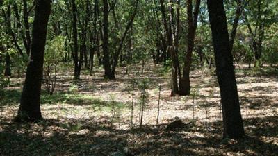 17471 River Ranch Rd, Grass Valley, CA 95949 photo 9