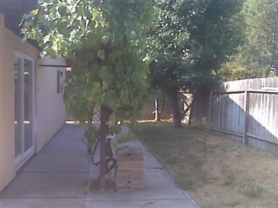 4463 San Juan Ave, Fair Oaks, CA 95628 photo 13