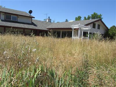 1901 State Highway 49, Placerville, CA 95667 photo 1