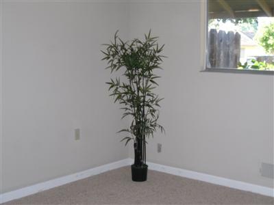2030 Moran Ave, Modesto, CA 95354 photo 6