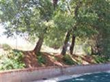 2767 Spear St, Placerville, CA 95667 photo 7