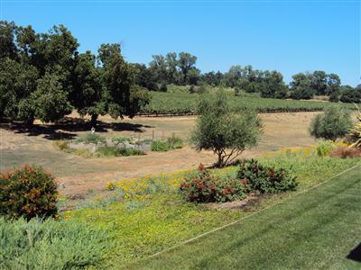 9443 Schmeidt Rd, Lodi, CA 95240 photo 8