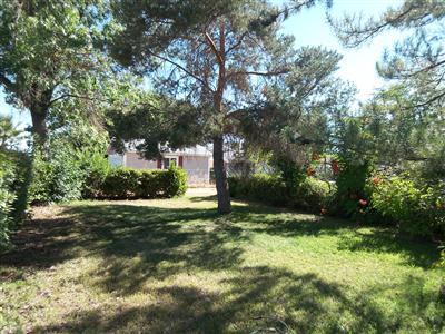 9155 Rio Linda Blvd, Elverta, CA 95626 photo 10