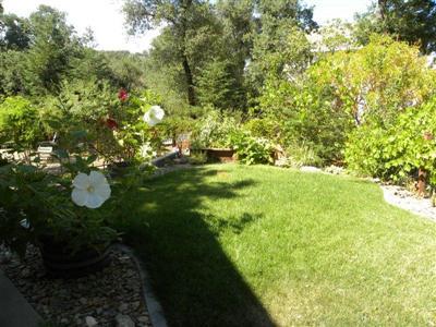 2541 Dynamic Way, Rescue, CA 95672 photo 8