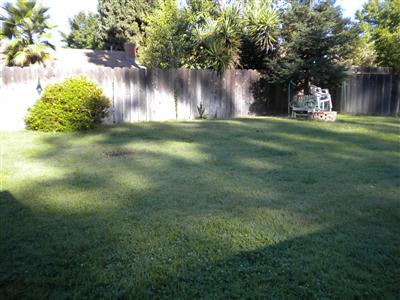 3437 M St, Merced, CA 95348 photo 8